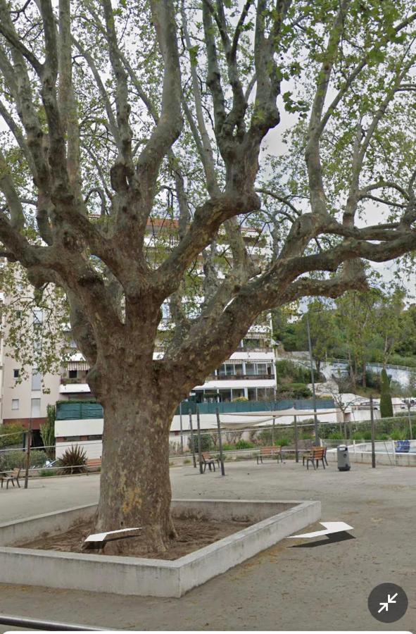 Le Vallombrosa T2 Cannes Zewnętrze zdjęcie